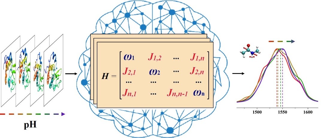 我國學者首次利用AI方法準確模擬蛋白質“光學指紋”